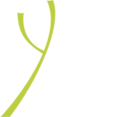 Y-Note